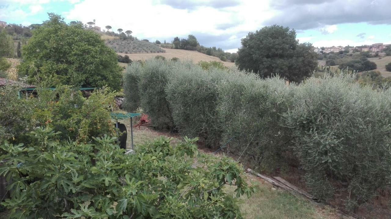 Vila Agriturismo Cerquaglia Todi Exteriér fotografie